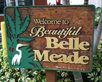 Belle Meade Area