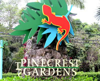 Pinecrest Area