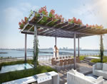 Baltus House - Roof Deck